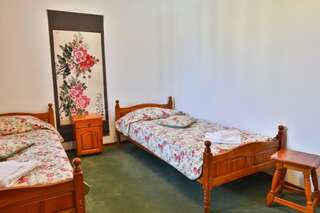 Гостевой дом Guest Houses Kedar Долна-Баня Двухместный номер с 2 отдельными кроватями-3
